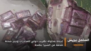 إحباط محاولة تهريب دولي للمخدرات وحجز شحنة ضخمة من الشيرا بطنجة