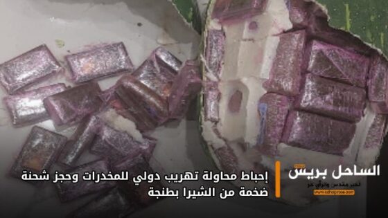 إحباط محاولة تهريب دولي للمخدرات وحجز شحنة ضخمة من الشيرا بطنجة