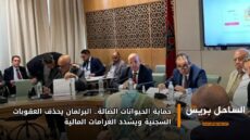 حماية الحيوانات الضالة.. البرلمان يحذف العقوبات السجنية ويشدد الغرامات المالية