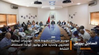 موسم صيد الأخطبوط 2026.. مؤشرات إيجابية للمخزون وتحديد فاتح يوليوز موعداً لاستئناف النشاط