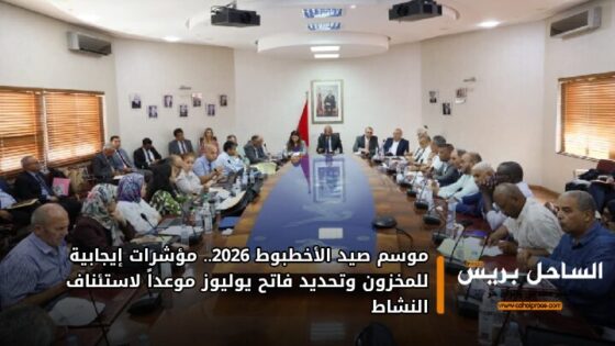 موسم صيد الأخطبوط 2026.. مؤشرات إيجابية للمخزون وتحديد فاتح يوليوز موعداً لاستئناف النشاط