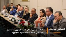 الفاعلون في قطاع الصيد البحري يناقشون مستقبل الأسماك السطحية الصغيرة