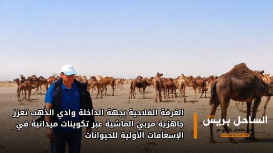 الغرفة الفلاحية بجهة الداخلة وادي الذهب تعزز جاهزية مربي الماشية عبر تكوينات ميدانية في الإسعافات الأولية للحيوانات