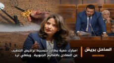 امبارك حمية يطالب بتبسيط تراخيص التنقيب عن المعادن بالأقاليم الجنوبية.. وبنعلي ترد