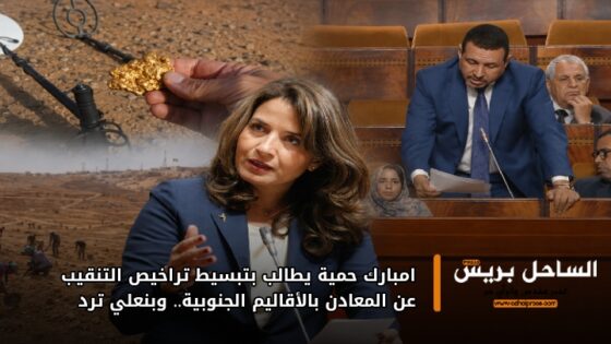 امبارك حمية يطالب بتبسيط تراخيص التنقيب عن المعادن بالأقاليم الجنوبية.. وبنعلي ترد