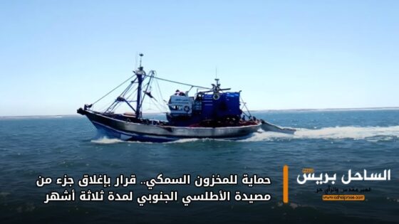 حماية للمخزون السمكي.. قرار بإغلاق جزء من مصيدة الأطلسي الجنوبي لمدة ثلاثة أشهر