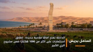 الداخلة تفتح آفاقًا فلاحية جديدة.. إطلاق استثمارات على أكثر من 1090 هكتارًا ضمن مشروع الري الكبير