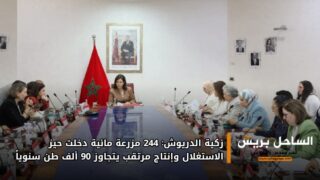 زكية الدريوش: 244 مزرعة مائية دخلت حيز الاستغلال وإنتاج مرتقب يتجاوز 90 ألف طن سنوياً