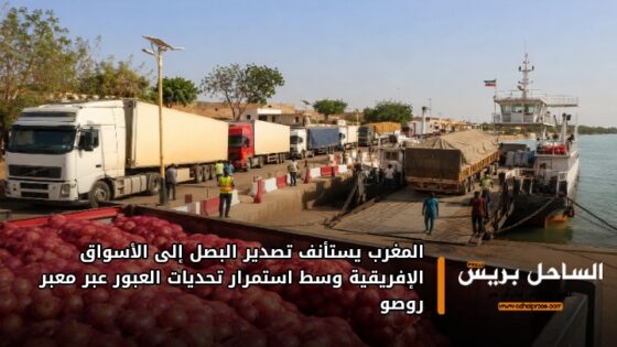 المغرب يستأنف تصدير البصل إلى الأسواق الإفريقية وسط استمرار تحديات العبور عبر معبر روصو