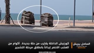 كورنيش الداخلة يقترب من حلة جديدة.. أكوام من العشب الأخضر إيذاناً بانطلاق مرحلة التشجير
