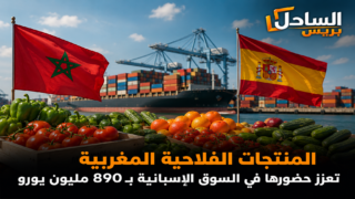المنتجات الفلاحية المغربية تعزز حضورها في السوق الإسبانية بـ890 مليون يورو