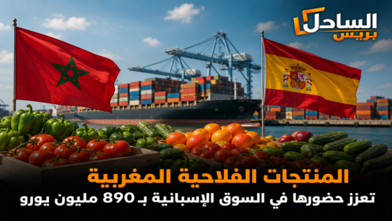 المنتجات الفلاحية المغربية تعزز حضورها في السوق الإسبانية بـ890 مليون يورو
