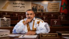 أعضاء مجلس الجهة في سباق البرلمان.. من يبقى ومن يغادر؟