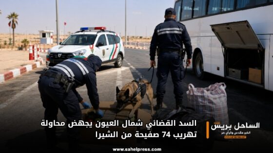 السد القضائي شمال العيون يجهض محاولة تهريب 74 صفيحة من الشيرا