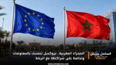 الصحراء المغربية.. بروكسل تتمسك بالمفاوضات وتحافظ على شراكتها مع الرباط