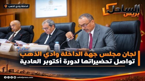 لجان مجلس جهة الداخلة وادي الذهب تواصل تحضيراتها لدورة أكتوبر العادية