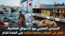 السردين المغربي يهز الأسواق العالمية.. نقص في المعلب وضغط متزايد على المادة الخام