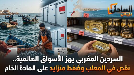 السردين المغربي يهز الأسواق العالمية.. نقص في المعلب وضغط متزايد على المادة الخام