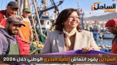 السردين يقود انتعاش الصيد البحري الوطني خلال 2026