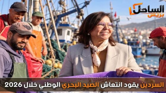 السردين يقود انتعاش الصيد البحري الوطني خلال 2026