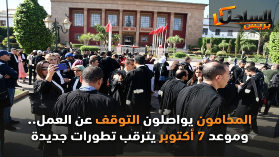 المحامون يواصلون التوقف عن العمل.. وموعد 7 أكتوبر يترقب تطورات جديدة