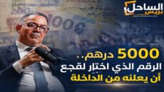 5000 درهم.. الرقم الذي اختار لقجع أن يعلنه من الداخلة