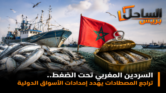 السردين المغربي تحت الضغط.. تراجع المصطادات يهدد إمدادات الأسواق الدولية