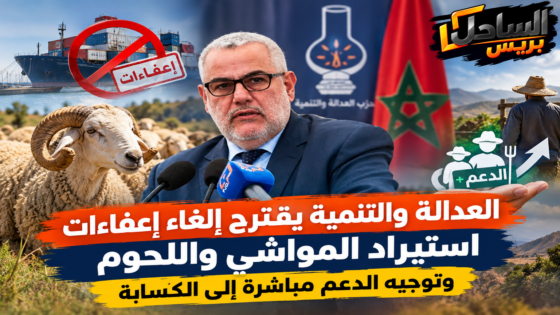 العدالة والتنمية يقترح إلغاء إعفاءات استيراد المواشي واللحوم وتوجيه الدعم مباشرة إلى الكسابة