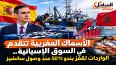 الأسماك المغربية تتقدم في السوق الإسبانية.. الواردات تقفز بنحو 50% منذ وصول سانشيز