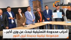 أحزاب محدودة التمثيلية تبحث عن وزن أكبر.. مجموعة نيابية جديدة ترى النور