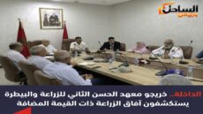 الداخلة.. خريجو معهد الحسن الثاني للزراعة والبيطرة يستكشفون آفاق الزراعة ذات القيمة المضافة