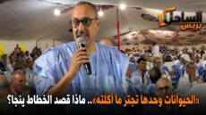 «الحيوانات وحدها تجتر ما أكلته».. ماذا قصد الخطاط ينجا؟