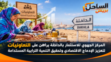 المركز الجهوي للاستثمار بالداخلة يراهن على التعاونيات لتعزيز الإدماج الاقتصادي وتحقيق التنمية الترابية المستدامة